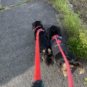 こんなに素敵な風景にの画像