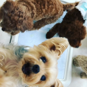 ☆今日のフリースペース☆の画像