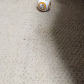 BB-8買ってやった！の画像