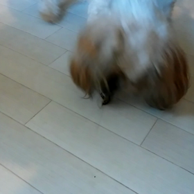 こはたんの特技❔の画像