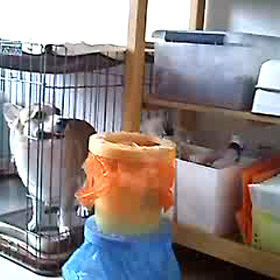 いつも通りの休日の画像