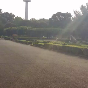 男子選考会ゴール付近②の画像