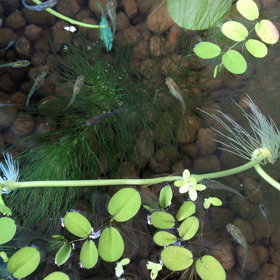 君は誰？の画像