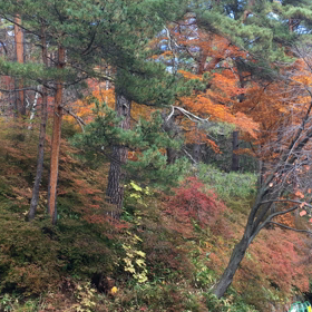 草津…♡の画像