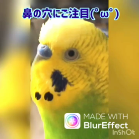 違和感無いのかな？の画像