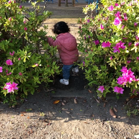 いよいよ英会話学習スタートの画像