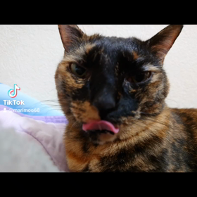 ｵｶｰﾁｬﾝの力の源の画像