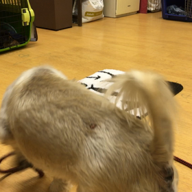 本日のオマケコーナー。の画像