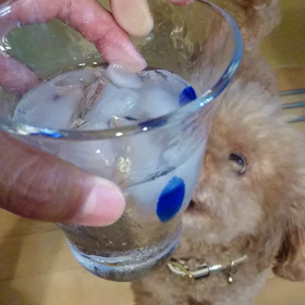 【美味しいな、焼酎の水割りは！】の画像