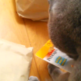 Mintmamaさんから頂いたネズミさんで遊ぶジュニア※音出ます♪ご注意くださいませの画像