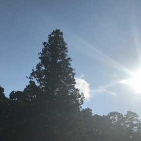 ライトランゲージはじめましたの画像