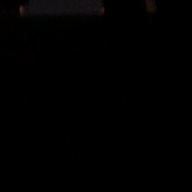 ジム活日は忙しい…2人の患者コロナ感染者と…デールと雷の画像