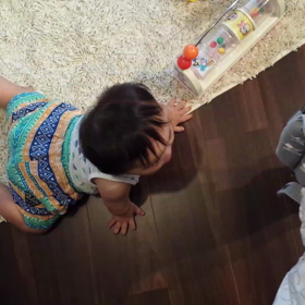 ズリバイの進化の画像