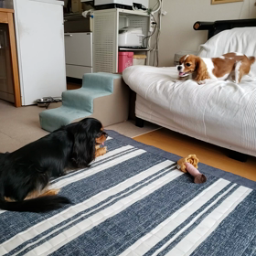 ビュン！！！の画像