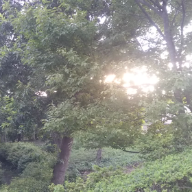 物悲しい初秋の画像