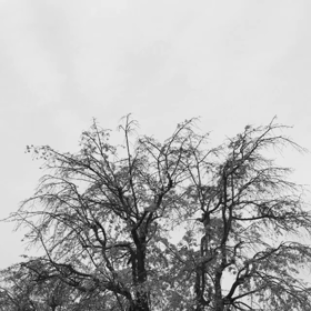 思いがけず 花見に ^_^の画像