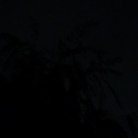 ダブル嵐の画像