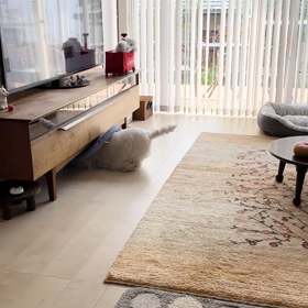 エリカラこうちゃんの画像