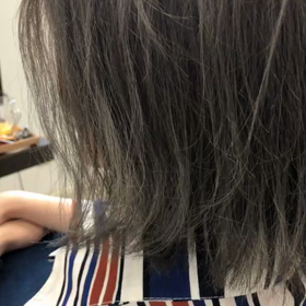 シルバーアッシュの画像