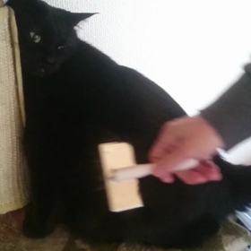 もだえるじんごろう　20180501の画像