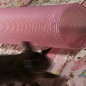 [コピー]2019/11/01の画像