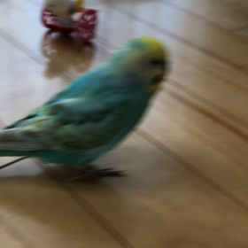 車庫入れの画像