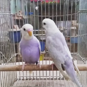 あれから１年の画像