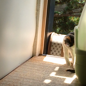 変な天気(*ﾟ∀ﾟ*)の画像