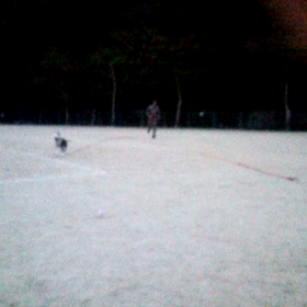 ☆ロングリード☆の画像