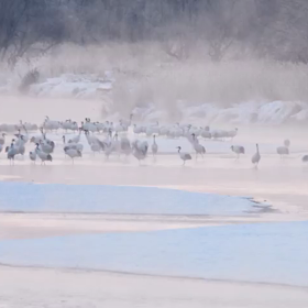 サロルンカムイ・・・湿原の神の画像