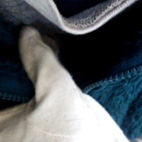 久々のカンガルーの画像