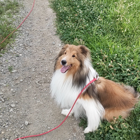 久々に走ったよの画像