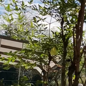 介護記録１８２（お父さんはどこ？）の画像