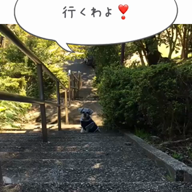 階段登りまつ！の画像