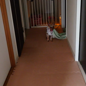 イタズラの画像