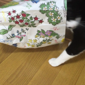 離さない！の画像