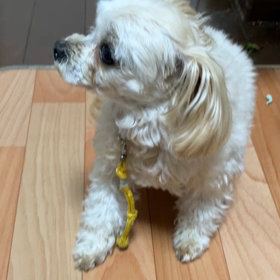 動画貼り付けの練習❣️の画像