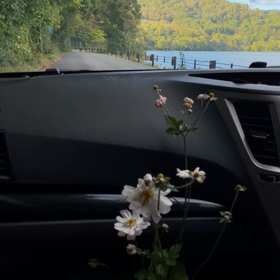 今日もぐるっとの画像