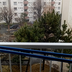 ふぇ？雪…の画像