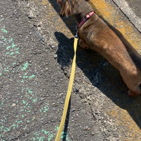 お散歩♡の画像