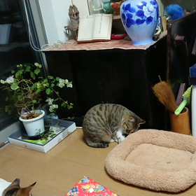 よく食べるの画像