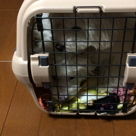 ようこそ我が家へ。の画像