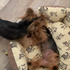 仲良し？の画像