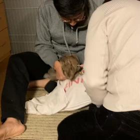 お薬の時間ですの画像