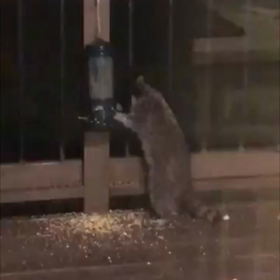 さえない一日の終わりにの画像