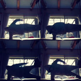 お散歩で雨に濡れる（*◊*;）の画像