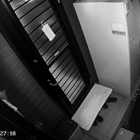 再び珍獣が・・の画像