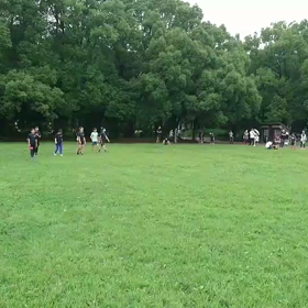 7月5日 学年別インターバル③の画像