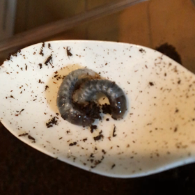 小さ過ぎるの画像