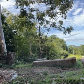 練習IN多根農村公園2の画像